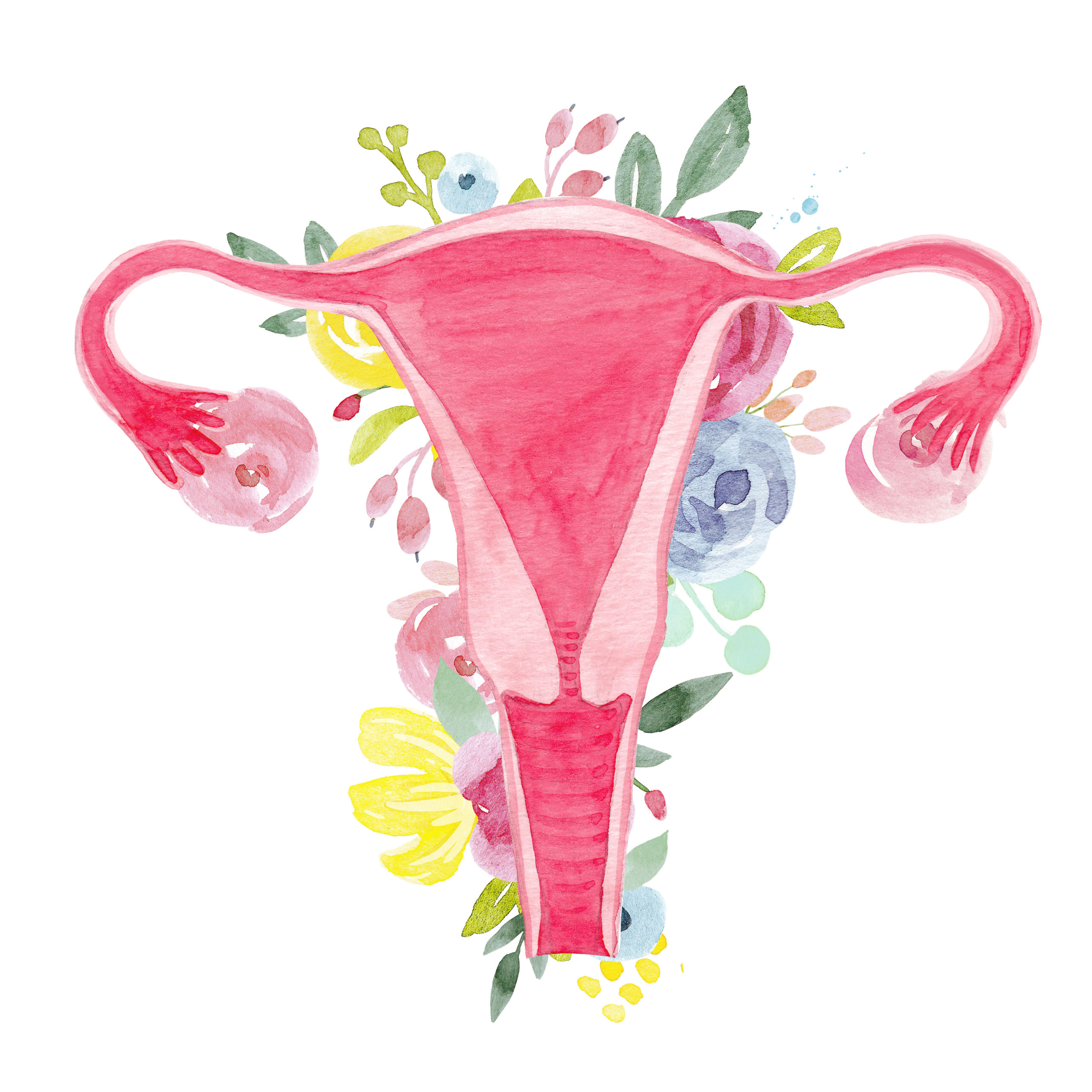 Watercolor,Women's,Print,,Organ,Of,The,Uterus,With,Flowers,,Feminism,